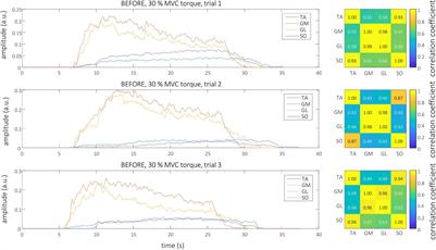 Inter-Person Differences in Isometric Coactivations of Triceps Surae and Tibialis Anterior Decrease in Young, but Not in Older Adults After 14 Days of Bed Rest